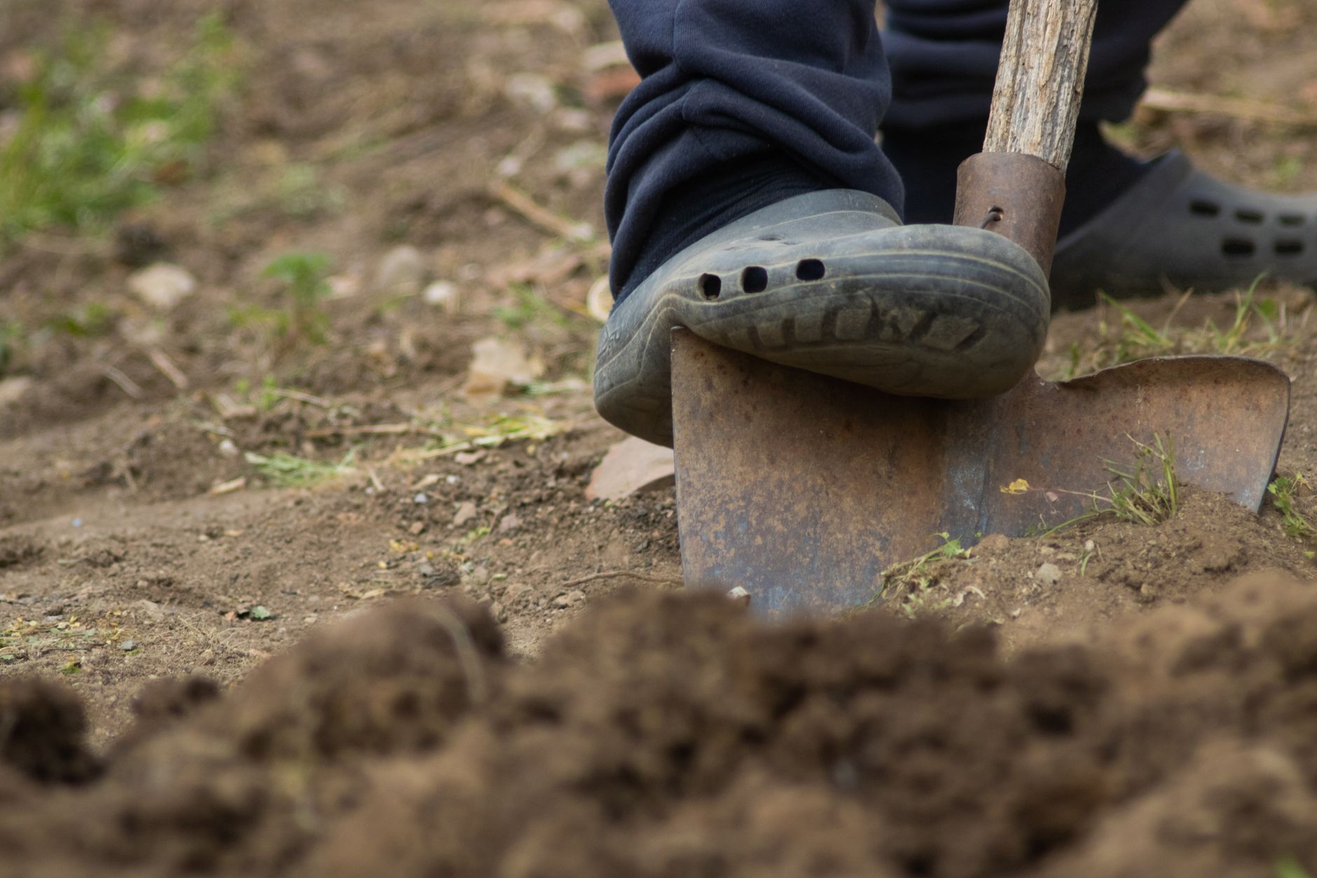 Schop in losgewerkte tuingrond